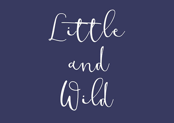 Little and Wild logo
