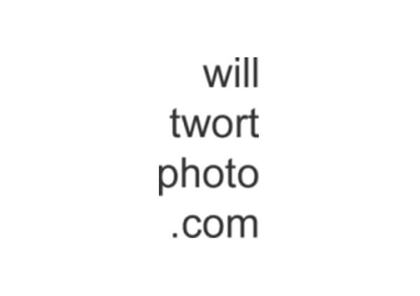 Will Twort Photo logo